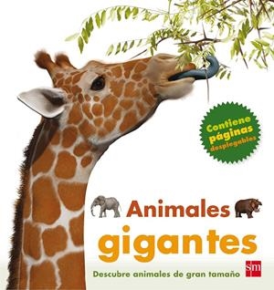 ANIMALES GIGANTES | 9788467553192 | Greenwood, Marie