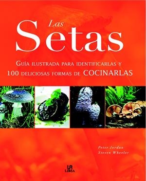 Las Setas | 9788466217507 | Jordan, Peter/Wheeler, Steven
